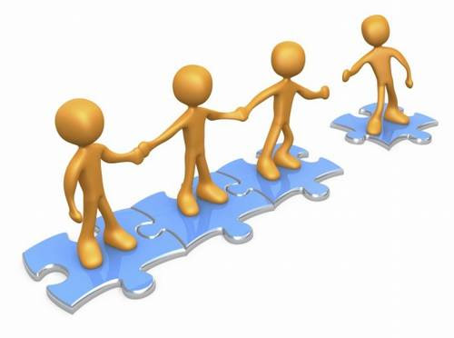 Can a single-member limited liability company establish a Party organization?